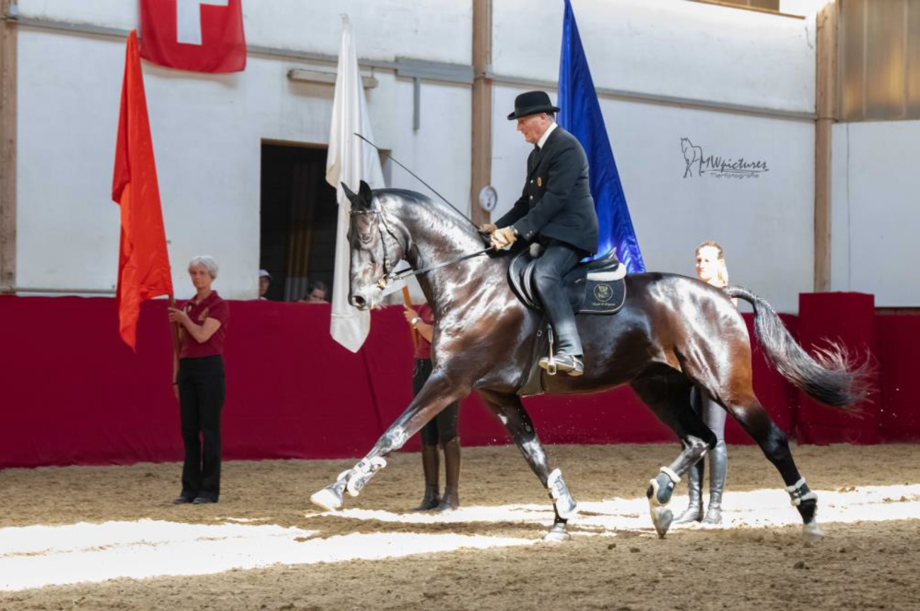 Philippe Karl mit High Noon – only flying is more beautiful